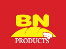 BN Enterprise Logo